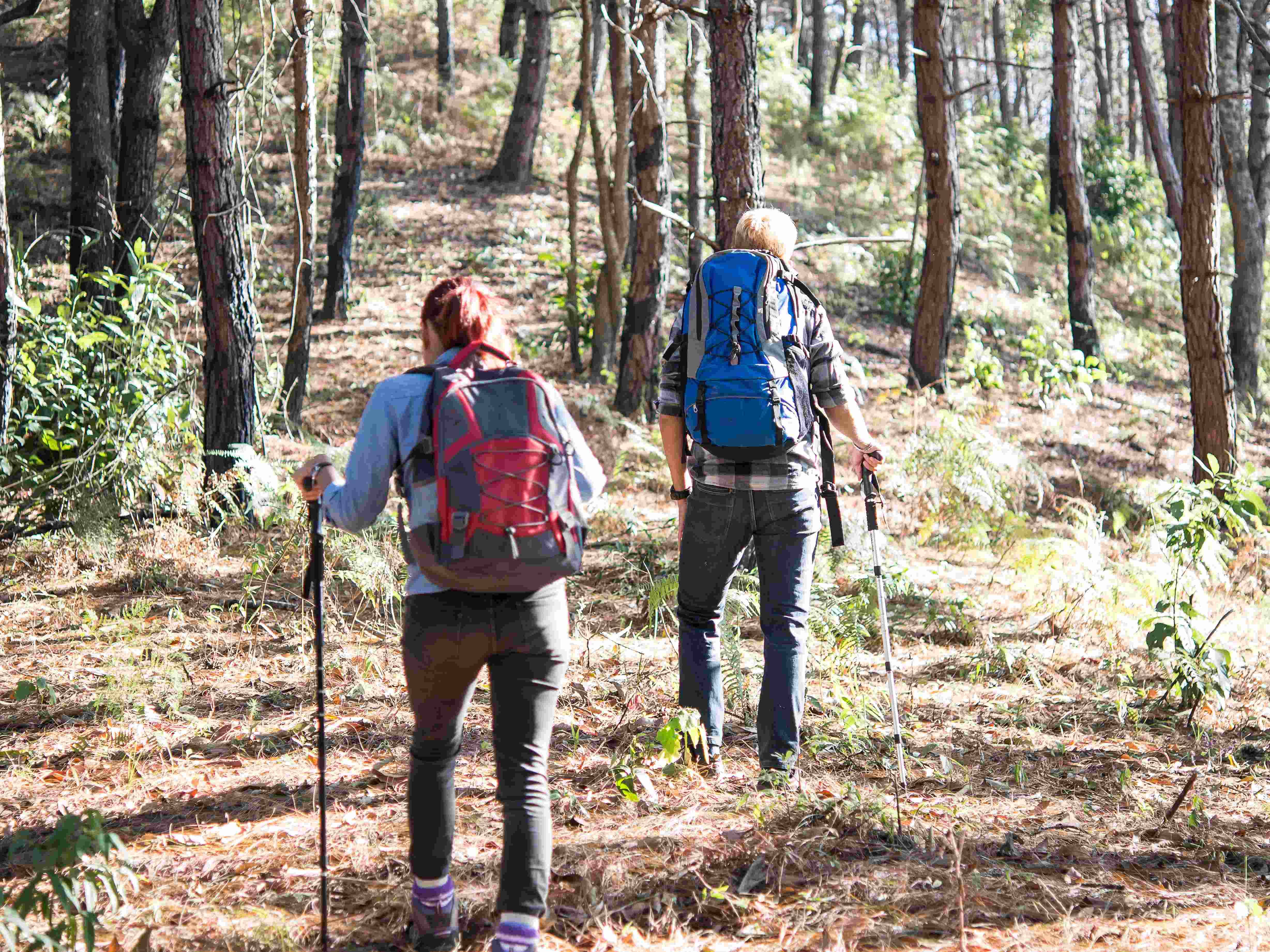 Variadas propuestas del Sport Center